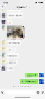 微信拍一拍如何更改文字效果