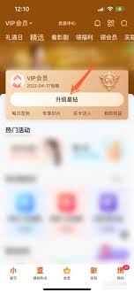 iphone爱奇艺会员开通方法