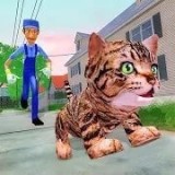小猫玩耍模拟器官网版