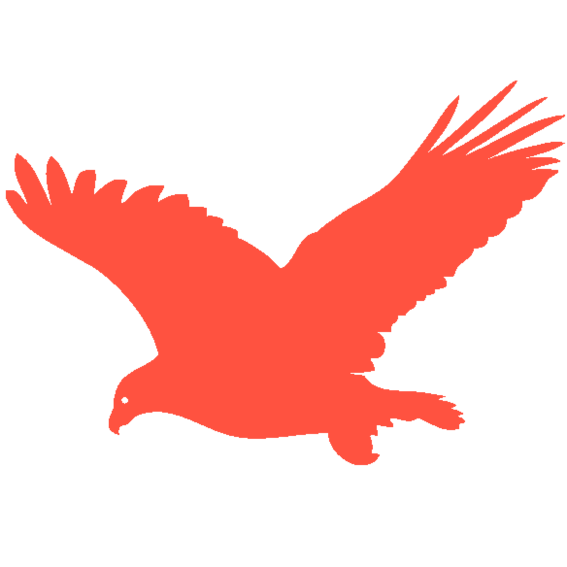 飞鹰资讯官网版