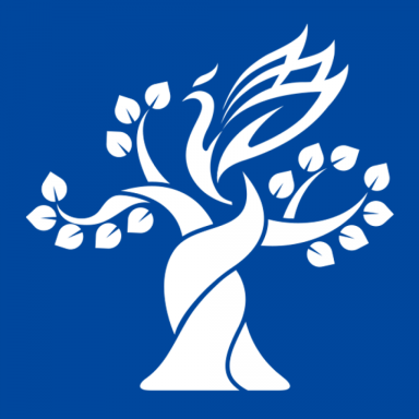 梧桐学习手机版