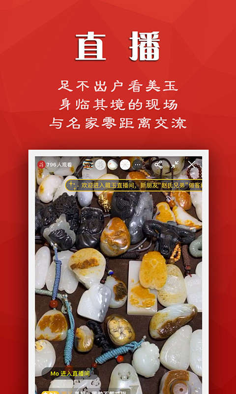 藏玉免费版