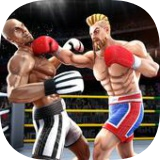 双打拳击比赛最新版