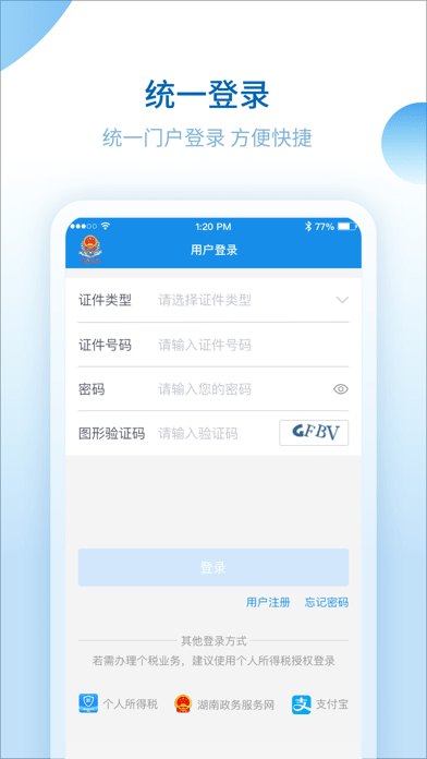 湖南税务服务