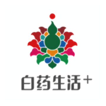 白客合一免费版