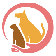 百速达宠物托运免费版