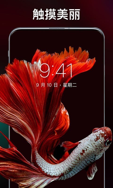 灵猫壁纸大全安卓版