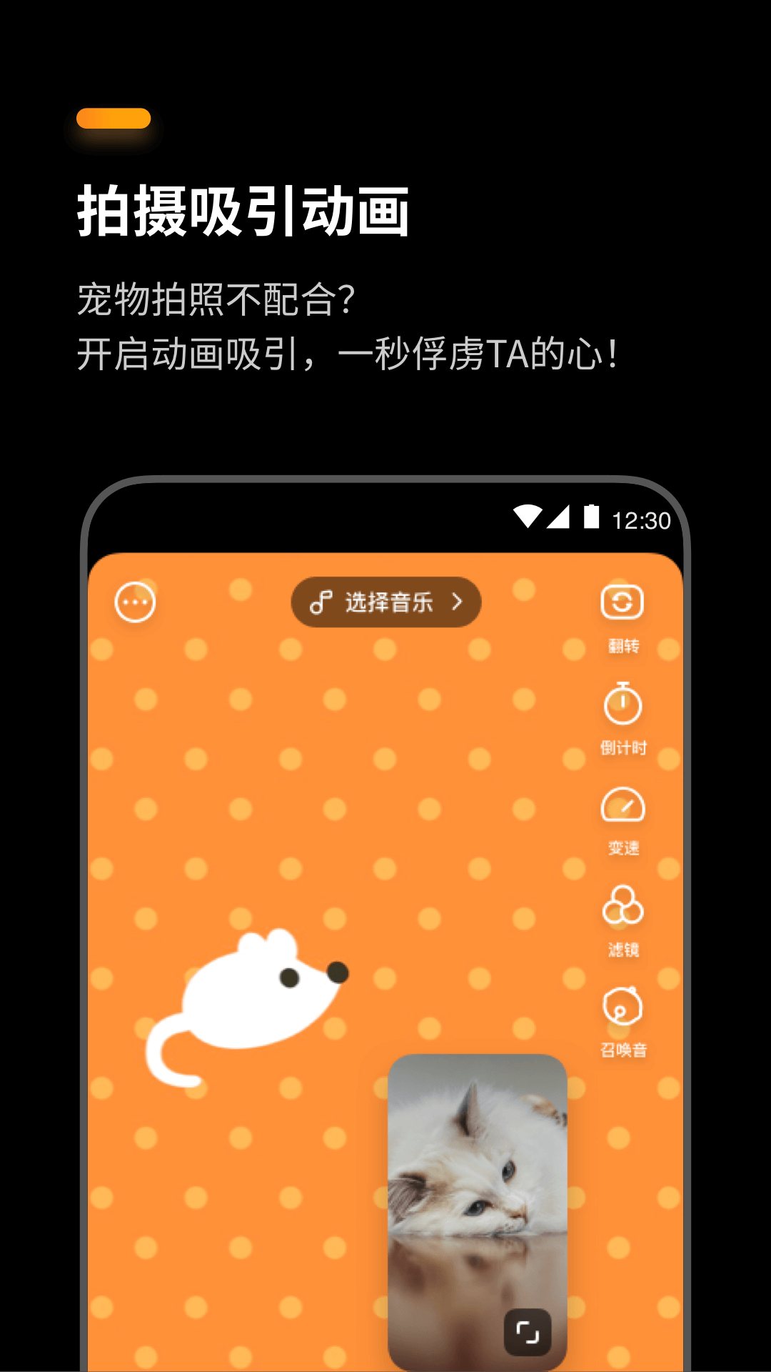萌卡手机版