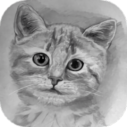 素描与绘画基础手机版