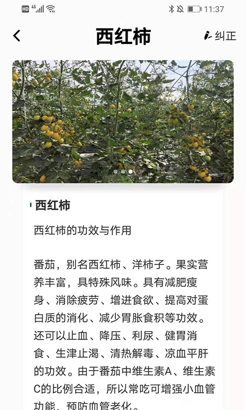植物科普百科手机版