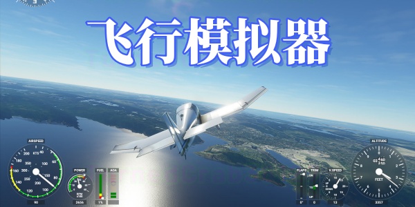 飞行模拟器