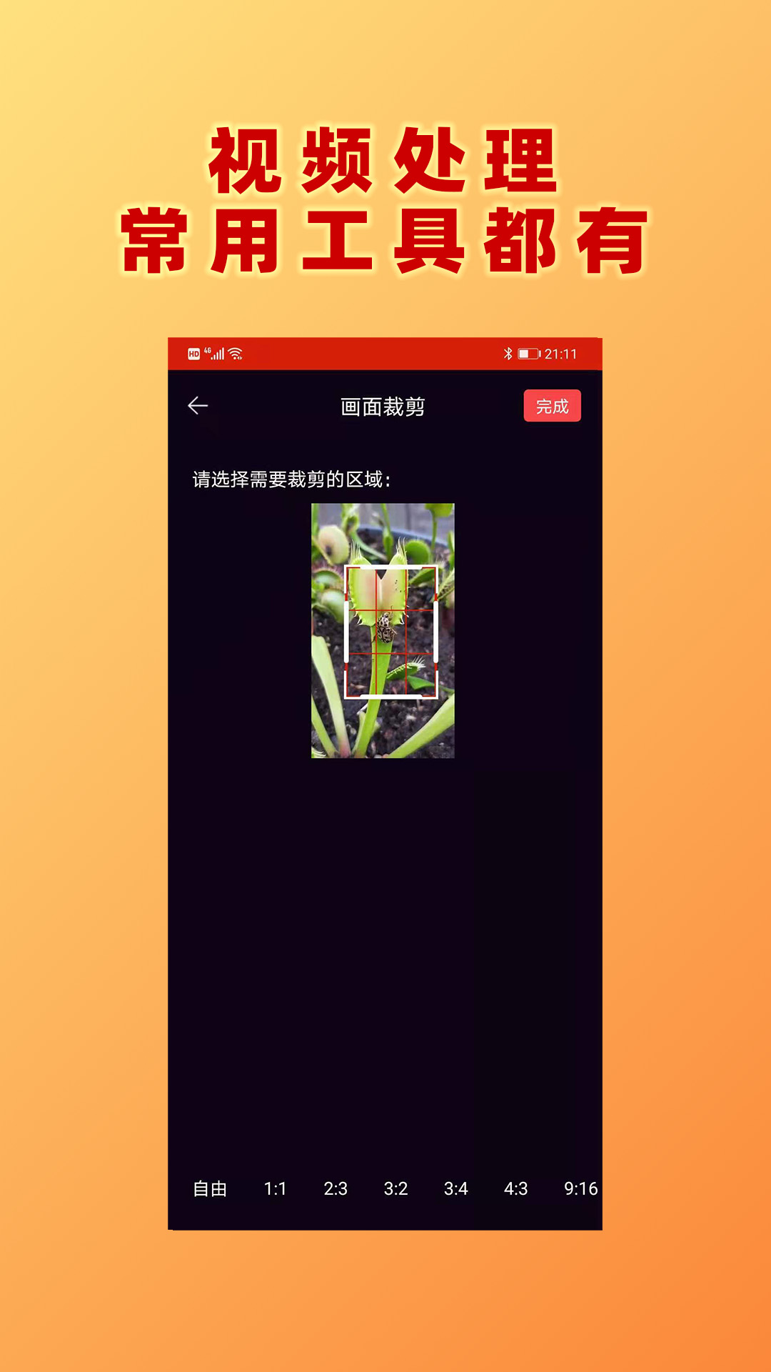 视频加文字安卓版