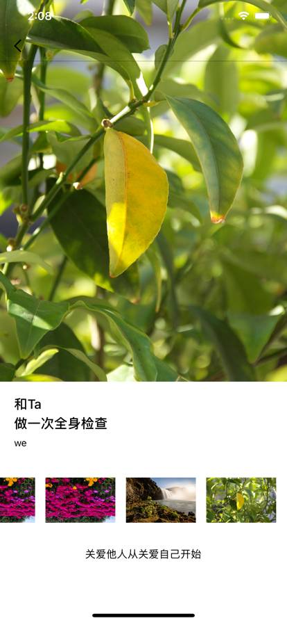 享恋爱最新版