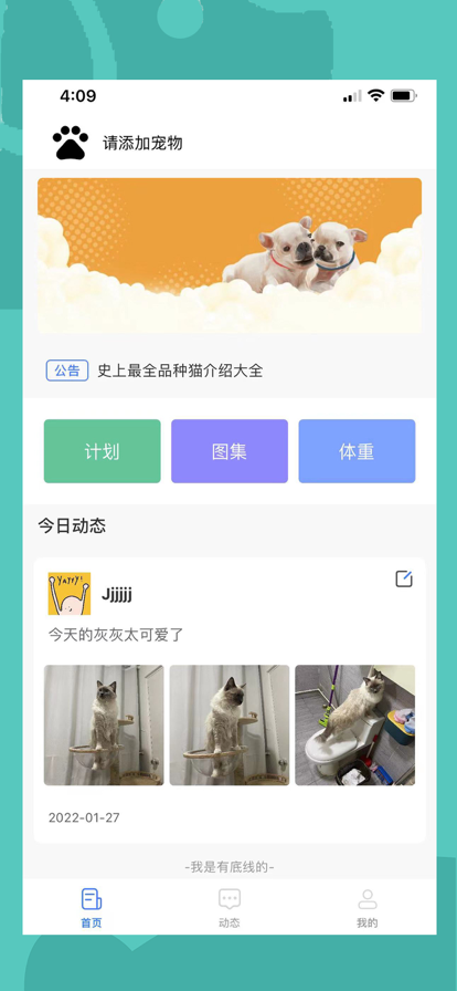 伴宠安卓版