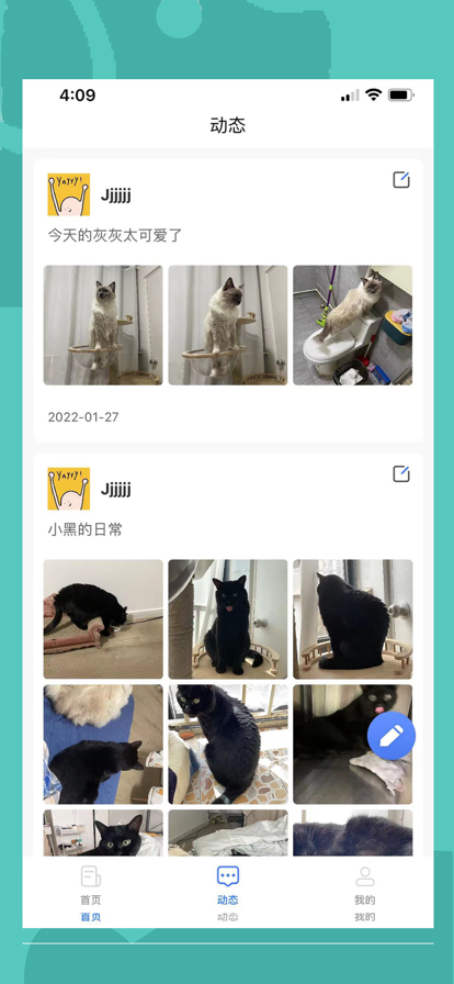 伴宠官网版