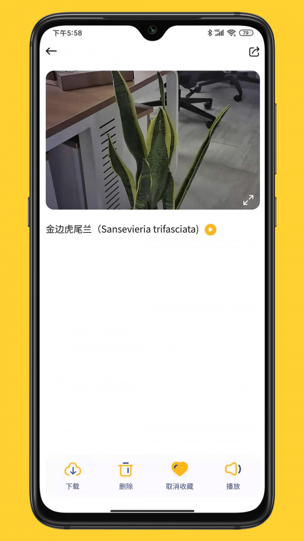 小mo乐园安卓版