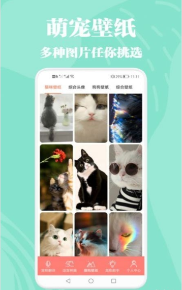 猫狗动物交流器官网版