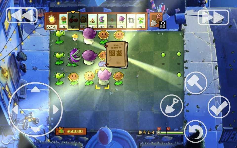 PVZXM