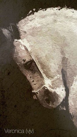 glaze油画滤镜最新版