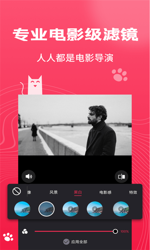 Pr剪辑大师官网版
