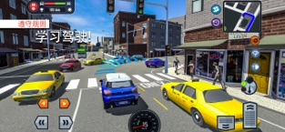 CarDrivingSchoolSimulator官网版