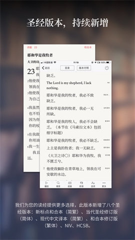 微读圣经鸽子