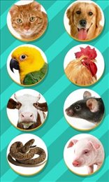 仓鼠语言翻译器官网版