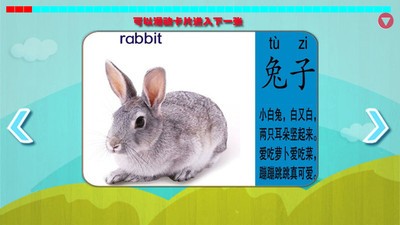 儿童认识动物手机版