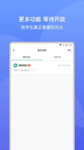 大黄蜂