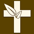 伴读圣经软件最新版