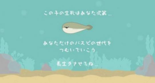 虚无鱼BasPi包