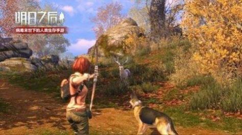 阿浪最新版