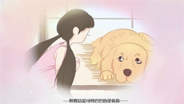 阿今宠物屋官网版