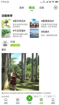 苗木之家最新版