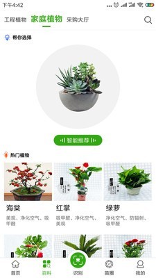 苗木之家手机版