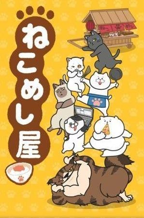 猫饭屋最新版