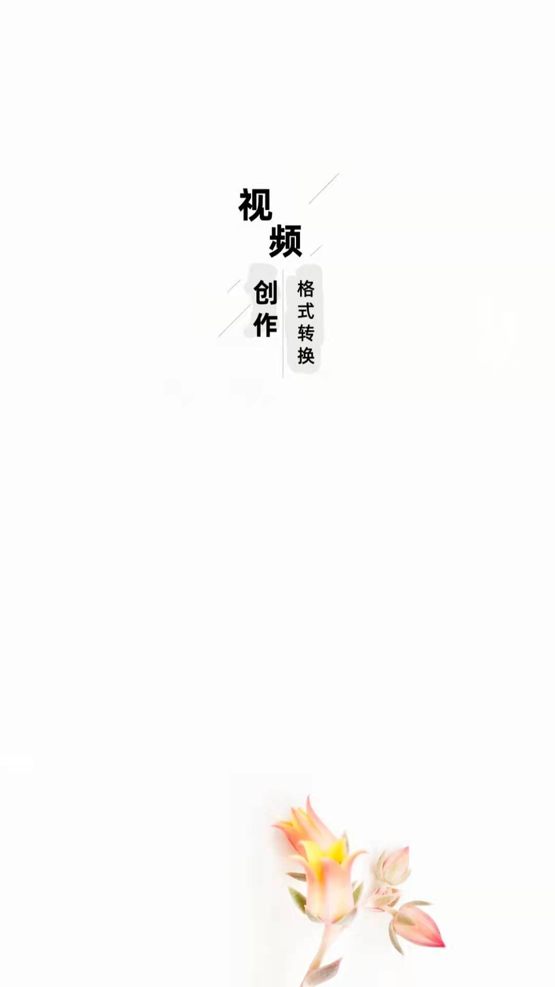 智点音视频格式转换免费版