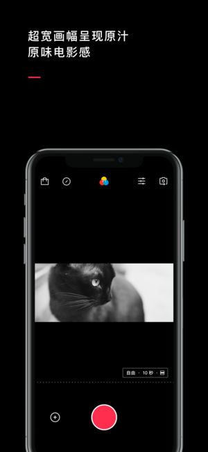 VUE