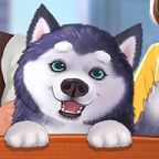 楼下的晚餐店官网版