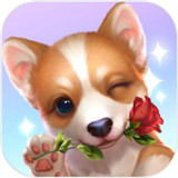 元气小狗安卓版