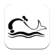 黑鲸互娱安卓版