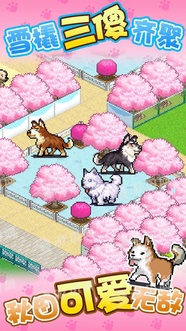 发现狗狗乐园手机版