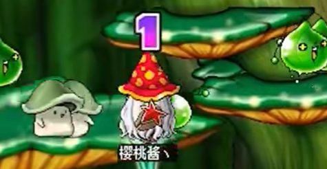 冒险岛联盟的意志