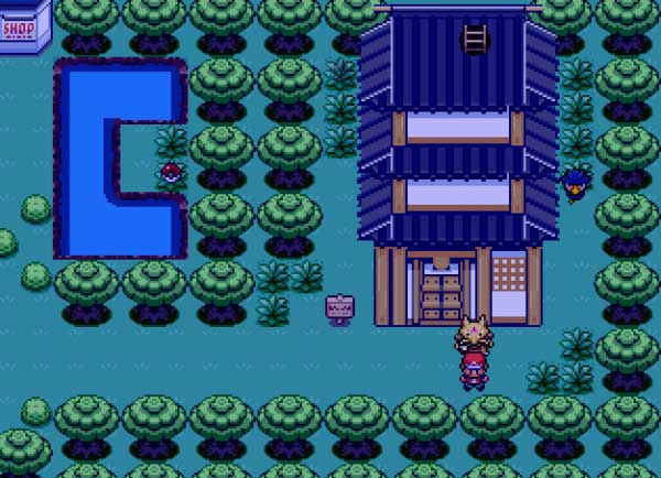 口袋妖怪混乱世界