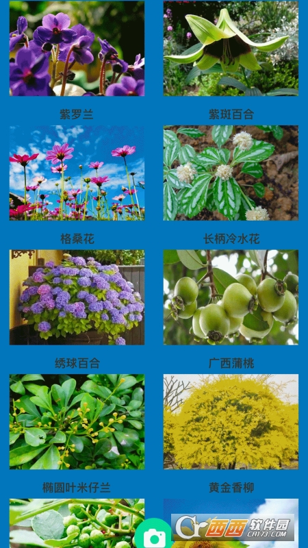 神农花草园艺