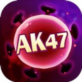AK手机版