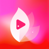 合欢视频最新版