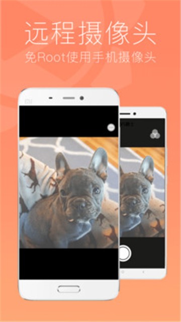 SunloginClient手机版