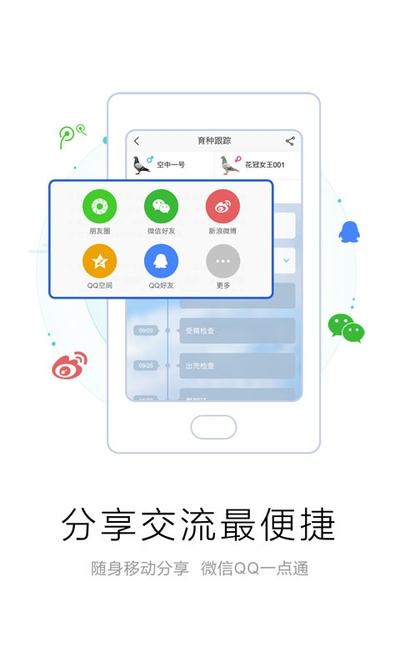 爱鸽者