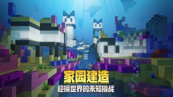 我的世界基岩